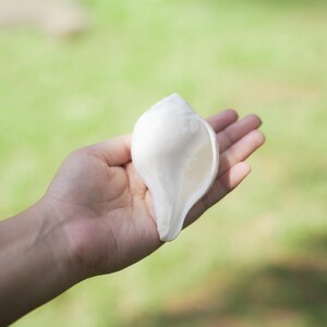 Vishnu Puja Conch Shell Heliga rituella altare Shankh Hindu Temple Använd andlig praxis Rare
