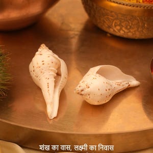 Vishnu Puja Conch Shell Heliga rituella altare Shankh Hindu Temple Använd andlig praxis bild 3