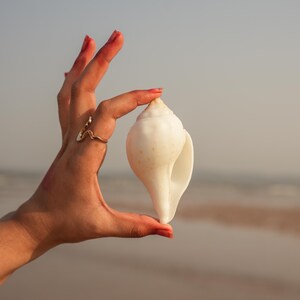 Vishnu Puja Conch Shell Heliga rituella altare Shankh Hindu Temple Använd andlig praxis Large