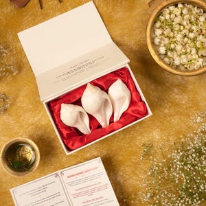 Puede incluir: Una caja blanca abierta con tres conchas marinas, colocadas sobre un forro de sat&eacute;n rojo. La caja est&aacute; sobre una superficie dorada texturizada, con un cuenco de flores blancas y un cuenco peque&ntilde;o con hojas verdes. El texto "Natural Shankh" es visible.