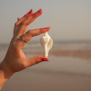 Vishnu Shankh: Natural Conch Shell for Lakshmi Puja Rituals