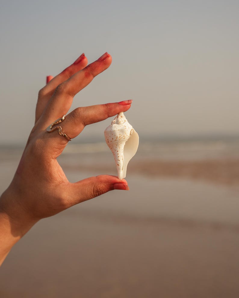 Vishnu Puja Conch Shell Heliga rituella altare Shankh Hindu Temple Använd andlig praxis Small