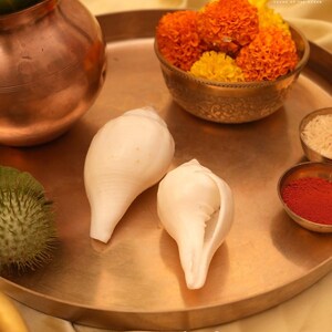 Vishnu Puja Conch Shell Heliga rituella altare Shankh Hindu Temple Använd andlig praxis bild 8
