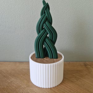 Pot with braided Sansevieria cylindrica succulent and secret compartment – 3D printed – original decoration