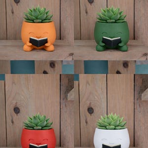Peut inclure: Quatre pots de plantes succulentes colorés, chacun d'une couleur différente : orange, vert, rouge et blanc. Chaque pot a un visage souriant et tient un petit livre noir. Les pots sont remplis de succulentes vertes.