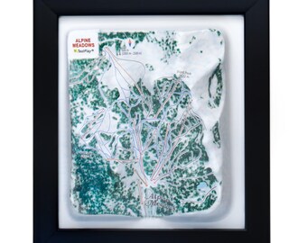 Alpine Meadows Ski Resort 3D Raised Relief Map