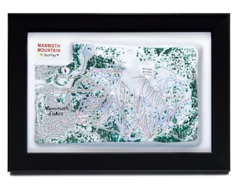Mammoth Mountain Ski Resort 3D Raised Relief Map