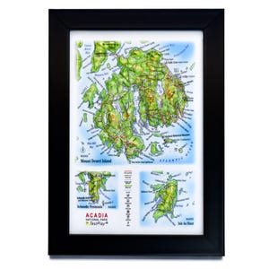 Acadia National Park 3D Raised Relief Map - Made in Ukraine - Topographic Wall Art, Unique Gift for Hikers & Nature Lovers!