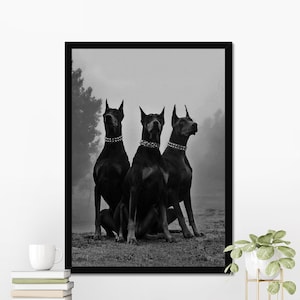 Vintage Doberman Poster, Luxury Fashion Poster, Black and White, Hypebeast Room Decor, Dog Wall Art Fashion Printed Trending Home Decor