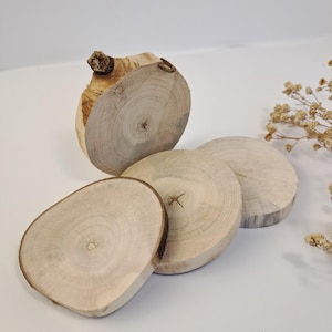 Polished Wood Slices: Rustic Decor & Craft Supplies, Set of 4