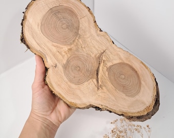 Unikatowy plaster drewna jabłoniowego, naturalne drewno do rękodzieła, rustykalny materiał dekoracyjny, ekologiczna dekoracja domu