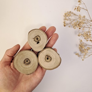 Polished Wood Slices With Unique Grain: Natural Rustic Craft & Decor, Set of 3
