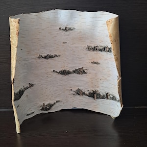 Natural Birch Bark Pieces: Rustic DIY Crafts & Woodland Decor
