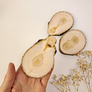 Polished Natural Wood Slice Set: Rustic Craft Blanks, Eco Material for Decoration
