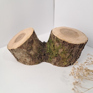 May include: A natural wood log slice, cut into two sections and joined together. The cut surfaces are light brown with concentric rings, while the sides have rough bark and patches of green moss. A rustic decorative item.