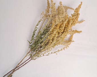 Flores de vara de oro secas naturales, ramo amarillo para decoración rústica, material de artesanía ecológica, arreglo de flores silvestres
