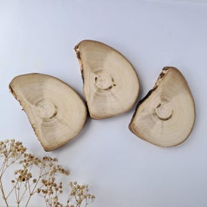 Polished natural wood slices with unique grain, Set of 3 cross sections of tree, Rustic decor, Craft blanks, Eco material for decoration