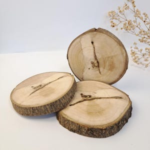 Polished Wood Slices: Rustic Tree Cross Sections, Craft Supplies - Set of 3