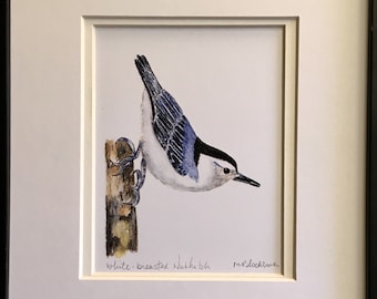 WHITE-BREASTED NUTHATCH Watercolor Pencil Drawing Painting Matted Print