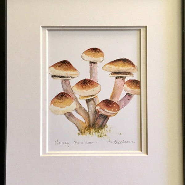 Black Morel Mushroom Double-Matted Watercolor Pencil Drawing Painting PRINT