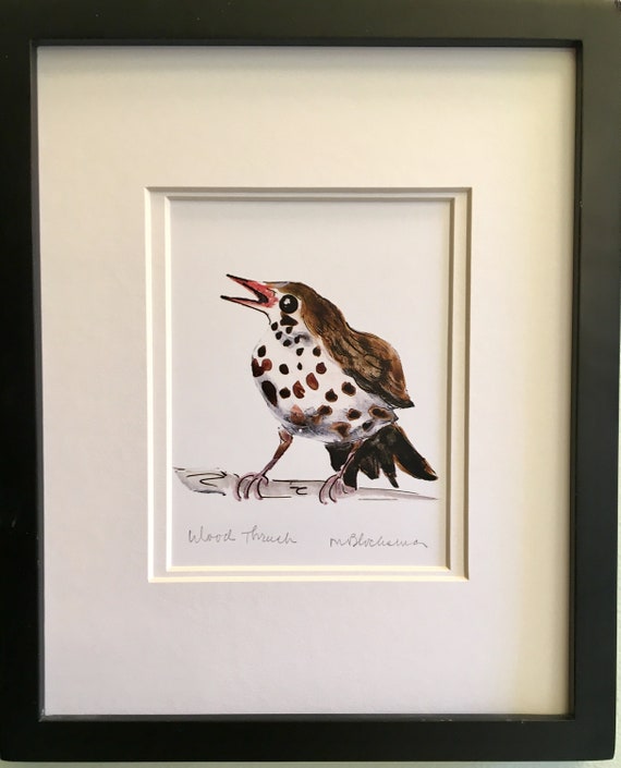 WOOD THRUSH Watercolor Pencil Drawing Painting Doublematted Etsy