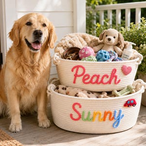 Może przedstawiać: Golden retriever siedzi obok dwóch ustawionych w stos białych koszy ze sznurka. Górny kosz ma napis Peach z różowej włóczki i czerwone serce. Dolny kosz ma napis Sunny z wielokolorowej włóczki oraz małą aplikację w kształcie czerwonego auta.