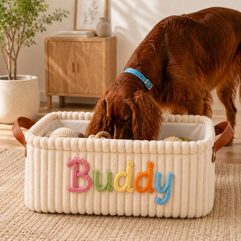 May include: A cream-colored, corduroy pet basket with the name "Buddy" in colorful yarn letters. The basket has brown leather handles and is filled with dog toys. A brown dog with a blue collar is investigating the contents.