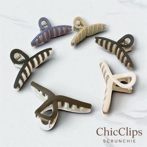 Puede incluir: Seis pinzas para el pelo con forma de garra en varios colores neutros, incluyendo beige, marrón y gris, dispuestas en un patrón circular. Cada pinza presenta un acabado mate y un diseño curvo. El texto "ChicClips SCRUNCHIE" está en la parte inferior.