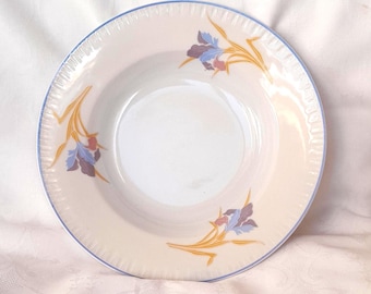 Assiette en porcelaine avec bord extérieur bleu - Motif floral