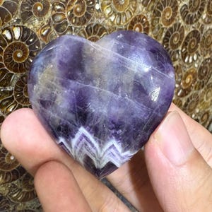 May include: A heart-shaped amethyst stone with a polished surface. The stone features a mix of purple, white, and clear colors, with a chevron pattern at the bottom. The background shows a fossilized rock.
