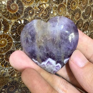 May include: A heart-shaped amethyst crystal, showcasing shades of purple, white, and brown. The polished stone has a smooth surface and is held in a hand. The background features a pattern of spiral-shaped fossils.