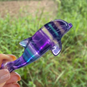 May include: A carved dolphin figurine made of polished fluorite. The dolphin is primarily purple with bands of blue, green, and yellow. The figurine is held against a blurred green background of grass.
