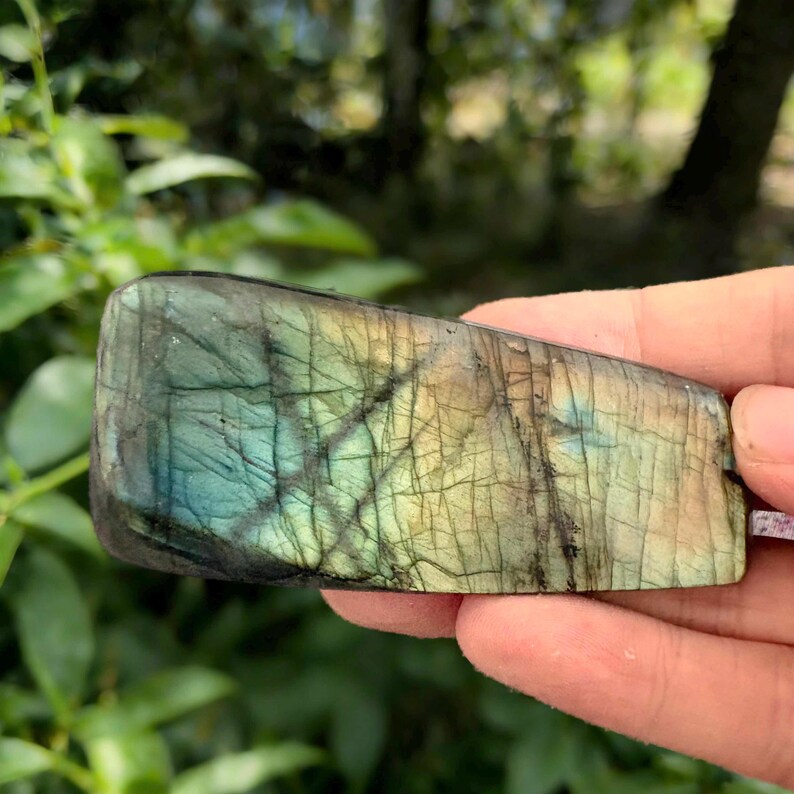 May include: A polished labradorite gemstone with a rectangular shape. The stone displays a mix of colors, including blues, greens, and yellows, with dark veining throughout. The gemstone is held in a hand against a blurred green background.