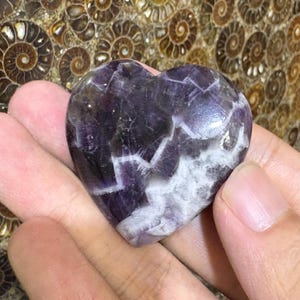 May include: A heart-shaped amethyst crystal with a mix of deep purple and white hues. The polished stone is held in a hand, showcasing its natural patterns and textures. The background features a fossilized shell pattern.