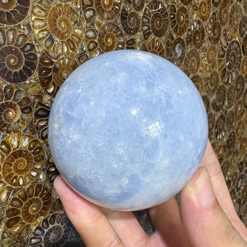 May include: A light blue crystal sphere. The sphere is smooth and round, with a slightly cloudy appearance. The background features a pattern of brown fossilized shells.