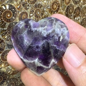 May include: A heart-shaped amethyst crystal with shades of purple and white. The polished stone is held in a hand, with a background of fossilized shells. The crystal's facets catch the light, showcasing its natural beauty.