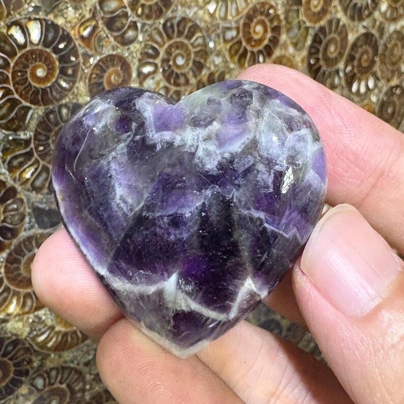 May include: A heart-shaped amethyst crystal with shades of purple and white. The polished stone is held in a hand, with a background of fossilized shells. The crystal's facets catch the light, showcasing its natural beauty.