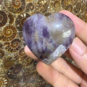 May include: A heart-shaped amethyst crystal with shades of purple, white, and brown. The polished stone has a smooth surface and is held in a hand. The background features a pattern of brown spiral shapes.