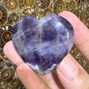 May include: A heart-shaped amethyst crystal with shades of purple and white. The polished stone has a smooth surface and is held in a hand. The background features a pattern of spiral-shaped fossils.