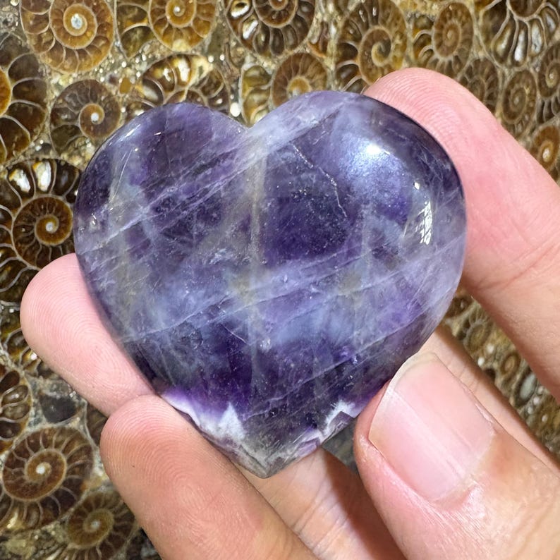 May include: A heart-shaped amethyst crystal with shades of purple and white. The polished stone has a smooth surface and is held in a hand. The background features a pattern of spiral-shaped fossils.