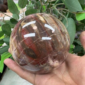 Könnte beinhalten: Ein polierter, kugelförmiger Stein mit einer Mischung aus Braun-, Rot- und Beigetönen. Die Oberfläche hat ein natürliches, marmoriertes Aussehen mit sichtbaren Maserungsmustern. Der Stein wird in einer Hand gehalten, um seine Größe und Textur zu zeigen. Der Stein ist ein dekorativer Gegenstand.