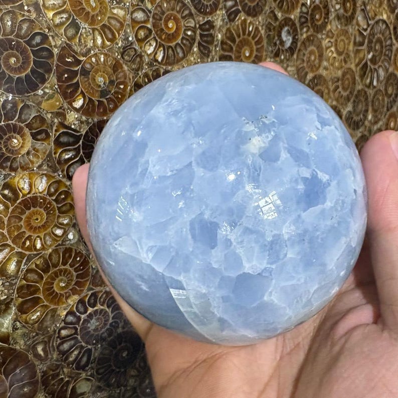 May include: A light blue sphere, possibly a crystal ball, held in a hand. The sphere has a textured surface and a slight sheen. The background features a pattern of brown spiral shapes.