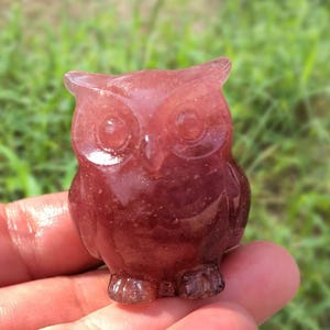 Peut inclure: Une petite figurine de hibou brun rougeâtre. Le hibou est sculpté dans un matériau translucide, avec des détails visibles comme les yeux, le bec et les pieds. La figurine est tenue dans une main, avec un arrière-plan vert flou.