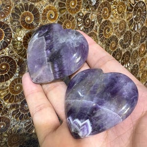 May include: Two heart-shaped amethyst stones with purple and white veining. The polished stones are held in a hand, showcasing their natural beauty. The background features a pattern of spiral-shaped fossils.