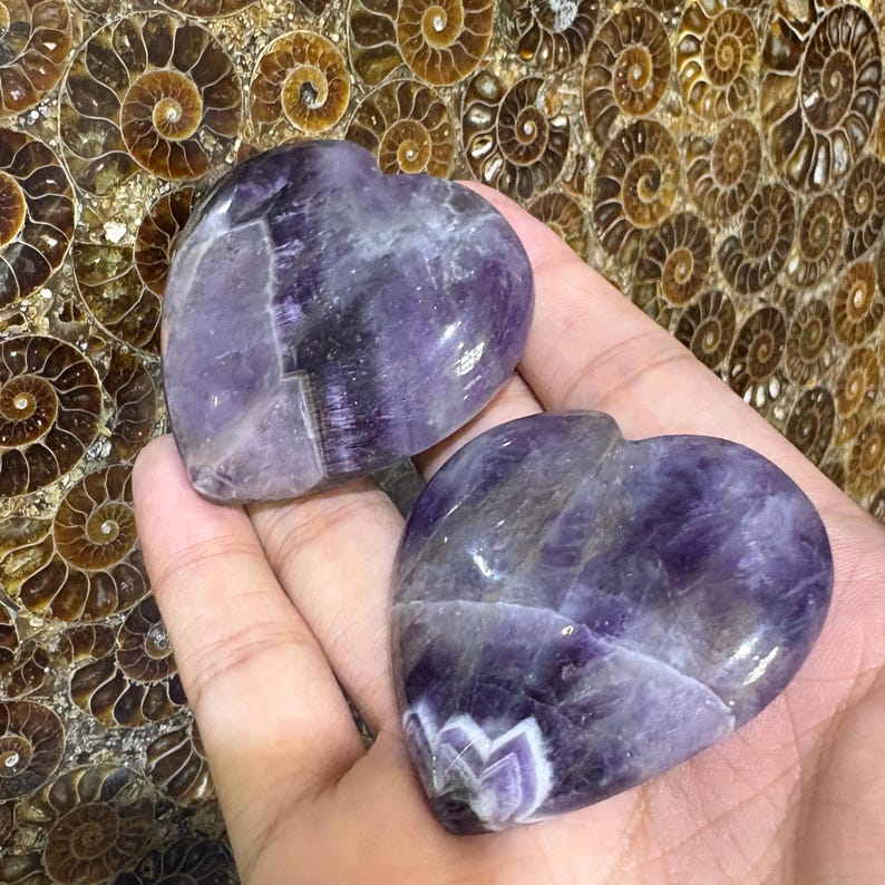 May include: Two heart-shaped amethyst stones with purple and white veining. The polished stones are held in a hand, showcasing their natural beauty. The background features a pattern of spiral-shaped fossils.