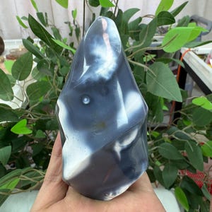 Irregular Orca Agate Flame | Natural Crystal Fire Shape | Healing Stone for Home Decor & Energy Balance