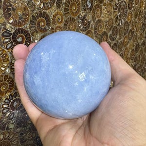 May include: A light blue crystal sphere, held in a hand. The sphere is smooth and round, with a soft, matte finish. The background features a wall with a pattern of brown fossil imprints.