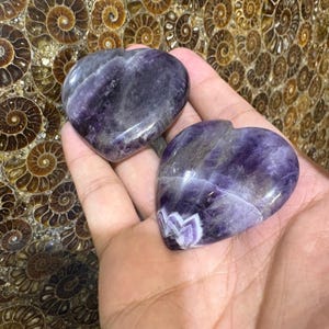 May include: Two heart-shaped amethyst stones. The stones are a deep purple color with white and gray veining. The stones are smooth and polished, and appear to be natural gemstones. The background is a decorative wall.
