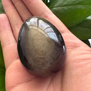 Könnte beinhalten: Ein polierter, oval geformter Goldobsidianstein. Der Stein hat eine dunkle, reflektierende Oberfläche mit schimmernden Goldeinschlüssen. Der eiförmige Stein wird in einer offenen Hand gehalten, mit grünem Laub im Hintergrund.