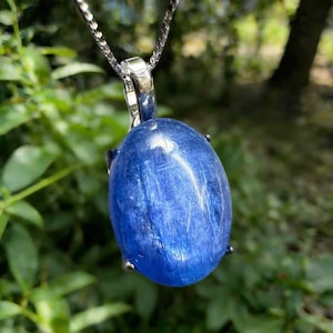 May include: A blue oval pendant necklace with a silver chain. The pendant is a deep blue gemstone with internal striations. The silver chain and setting contrast with the blue stone. The background is blurred green foliage, typical of a natural setting.